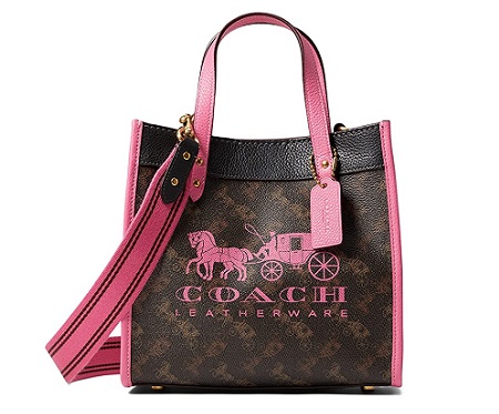 Coach Horse Carriage classy summer handbags 2022 ISHOPS.ME